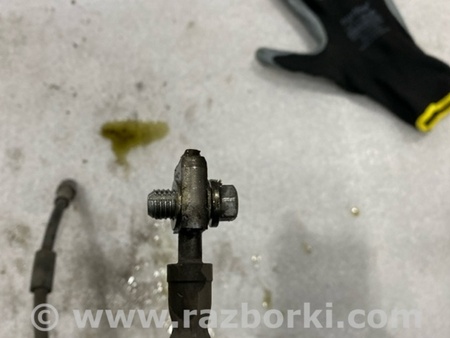 ФОТО Шланг тормозной для Audi (Ауди) A3 8V1, 8VA, 8V7, 8VS (03.2012-...) Киев