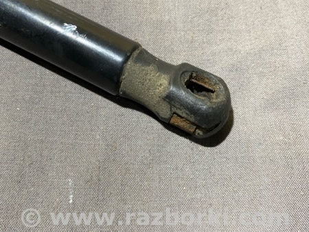 ФОТО Амортизатор крышки багажника для Audi (Ауди) A3 8V1, 8VA, 8V7, 8VS (03.2012-...) Киев