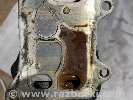 ФОТО Радиатор масляный для Audi (Ауди) A3 8V1, 8VA, 8V7, 8VS (03.2012-...) Киев
