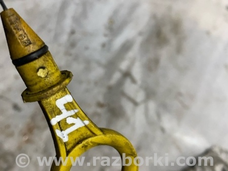 ФОТО Щуп масляный ДВС для Audi (Ауди) A3 8V1, 8VA, 8V7, 8VS (03.2012-...) Киев