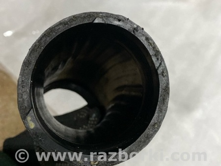ФОТО Патрубок системы охлаждения для Audi (Ауди) A3 8V1, 8VA, 8V7, 8VS (03.2012-...) Киев