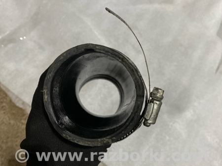 ФОТО Патрубок системы охлаждения для Audi (Ауди) A3 8V1, 8VA, 8V7, 8VS (03.2012-...) Киев