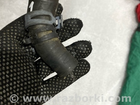 ФОТО Патрубок системы охлаждения для Audi (Ауди) A3 8V1, 8VA, 8V7, 8VS (03.2012-...) Киев