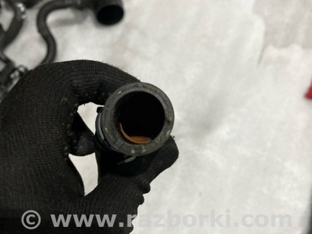 ФОТО Патрубок системы охлаждения для Audi (Ауди) A3 8V1, 8VA, 8V7, 8VS (03.2012-...) Киев
