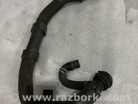 ФОТО Патрубок системы охлаждения для Audi (Ауди) A3 8V1, 8VA, 8V7, 8VS (03.2012-...) Киев