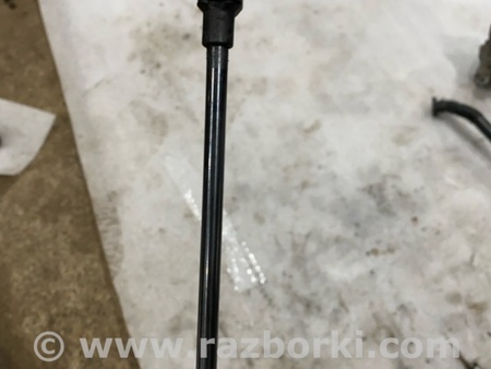 ФОТО Амортизатор капота для Audi (Ауди) A5 8T (03.2007-11.2016) Киев