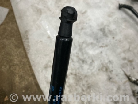ФОТО Амортизатор капота для Audi (Ауди) A5 8T (03.2007-11.2016) Киев