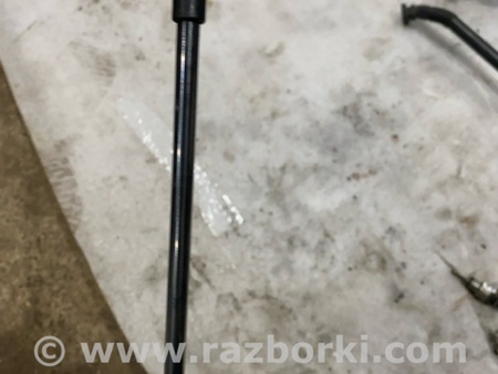 ФОТО Амортизатор капота для Audi (Ауди) A5 8T (03.2007-11.2016) Киев