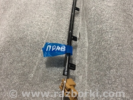 ФОТО Планка подсветки для Audi (Ауди) A4 B8 - 8K2, 8K5 (08.2007-11.2015) Киев