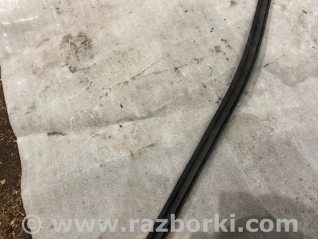 ФОТО Уплотнительная резинка для Audi (Ауди) A5 8T (03.2007-11.2016) Киев