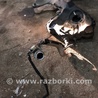 ФОТО Бак топливный для Audi (Ауди) A4 B8 - 8K2, 8K5 (08.2007-11.2015) Киев