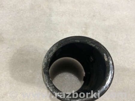 ФОТО Насадка на глушитель для Audi (Ауди) A3 8V1, 8VA, 8V7, 8VS (03.2012-...) Киев
