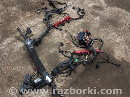 ФОТО Электропроводка для Audi (Ауди) A8 D4 (11.2009-01.2018) Киев