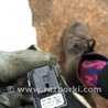 ФОТО Кнопка стеклоподъемника для Audi (Ауди) A3 8V1, 8VA, 8V7, 8VS (03.2012-...) Киев