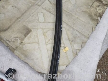 ФОТО Уплотнительная резинка боковой двери для Audi (Ауди) A3 8V1, 8VA, 8V7, 8VS (03.2012-...) Киев