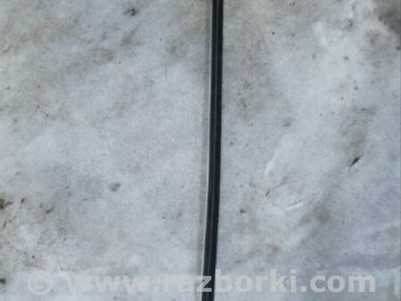 ФОТО Молдинг двери для Audi (Ауди) A5 8T (03.2007-11.2016) Киев