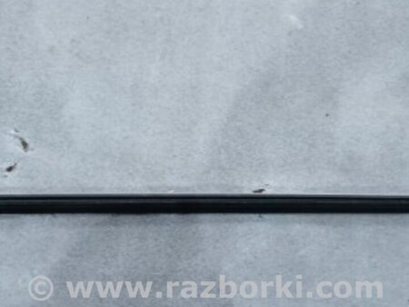 ФОТО Молдинг двери для Audi (Ауди) A5 8T (03.2007-11.2016) Киев