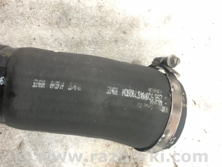 ФОТО Патрубок системы охлаждения для Audi (Ауди) A3 8V1, 8VA, 8V7, 8VS (03.2012-...) Киев