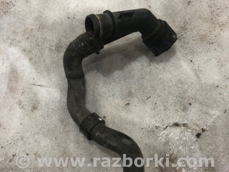 ФОТО Патрубок системы охлаждения для Audi (Ауди) A3 8V1, 8VA, 8V7, 8VS (03.2012-...) Киев
