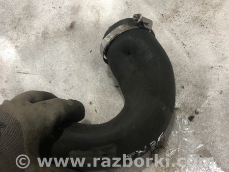 ФОТО Патрубок системы охлаждения для Audi (Ауди) A3 8V1, 8VA, 8V7, 8VS (03.2012-...) Киев