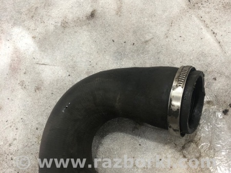 ФОТО Патрубок системы охлаждения для Audi (Ауди) A3 8V1, 8VA, 8V7, 8VS (03.2012-...) Киев