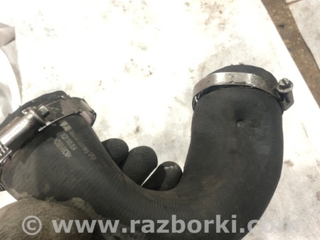 ФОТО Патрубок системы охлаждения для Audi (Ауди) A3 8V1, 8VA, 8V7, 8VS (03.2012-...) Киев