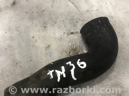 ФОТО Патрубок системы охлаждения для Audi (Ауди) A3 8V1, 8VA, 8V7, 8VS (03.2012-...) Киев