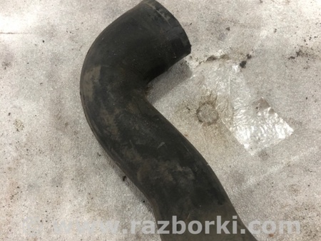 ФОТО Патрубок системы охлаждения для Audi (Ауди) A3 8V1, 8VA, 8V7, 8VS (03.2012-...) Киев