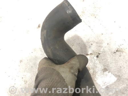 ФОТО Патрубок системы охлаждения для Audi (Ауди) A3 8V1, 8VA, 8V7, 8VS (03.2012-...) Киев