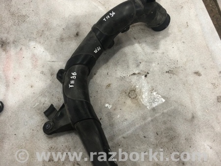 ФОТО Патрубок системы охлаждения для Audi (Ауди) A3 8V1, 8VA, 8V7, 8VS (03.2012-...) Киев
