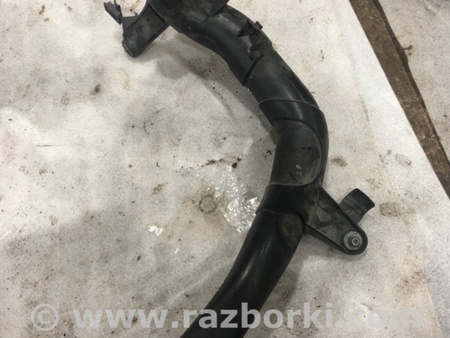 ФОТО Патрубок системы охлаждения для Audi (Ауди) A3 8V1, 8VA, 8V7, 8VS (03.2012-...) Киев
