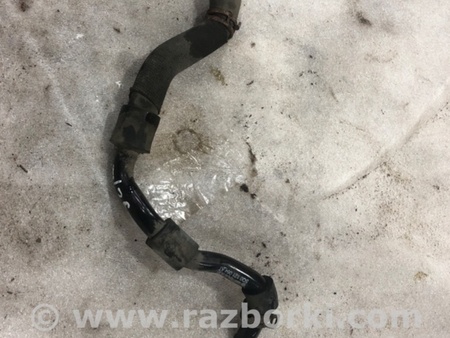 ФОТО Патрубок системы охлаждения для Audi (Ауди) A3 8V1, 8VA, 8V7, 8VS (03.2012-...) Киев