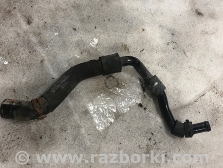 ФОТО Патрубок системы охлаждения для Audi (Ауди) A3 8V1, 8VA, 8V7, 8VS (03.2012-...) Киев