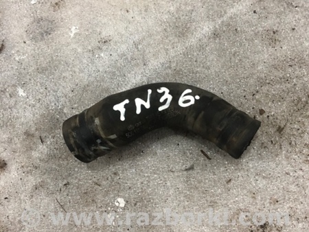 ФОТО Патрубок системы охлаждения для Audi (Ауди) A3 8V1, 8VA, 8V7, 8VS (03.2012-...) Киев