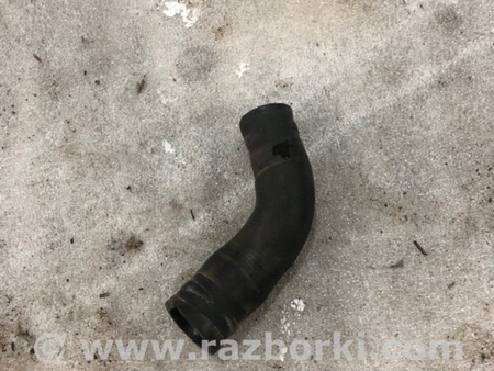 ФОТО Патрубок системы охлаждения для Audi (Ауди) A3 8V1, 8VA, 8V7, 8VS (03.2012-...) Киев