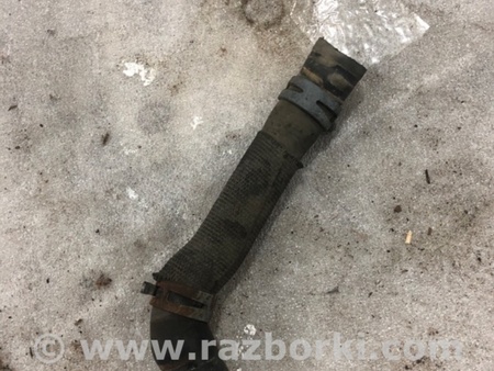 ФОТО Патрубок системы охлаждения для Audi (Ауди) A3 8V1, 8VA, 8V7, 8VS (03.2012-...) Киев
