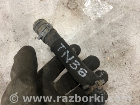 ФОТО Патрубок системы охлаждения для Audi (Ауди) A3 8V1, 8VA, 8V7, 8VS (03.2012-...) Киев