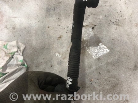 ФОТО Патрубок системы охлаждения для Audi (Ауди) A3 8V1, 8VA, 8V7, 8VS (03.2012-...) Киев