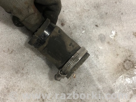 ФОТО Патрубок системы охлаждения для Audi (Ауди) A3 8V1, 8VA, 8V7, 8VS (03.2012-...) Киев