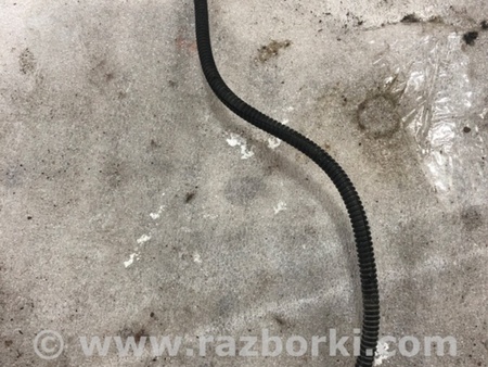 ФОТО Датчик для Audi (Ауди) A3 8V1, 8VA, 8V7, 8VS (03.2012-...) Киев