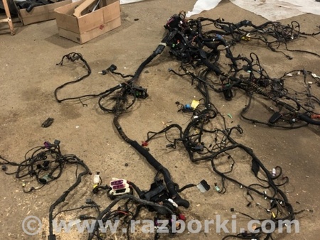 ФОТО Электропроводка для Audi (Ауди) A8 D4 (11.2009-01.2018) Киев