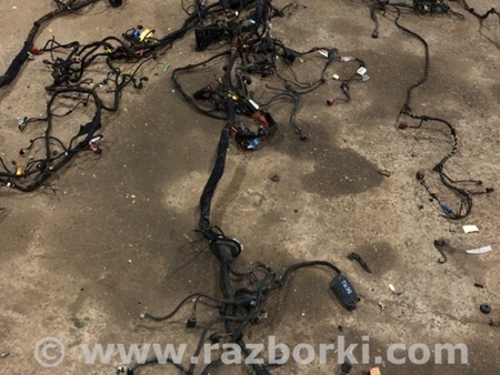 ФОТО Электропроводка для Audi (Ауди) A8 D4 (11.2009-01.2018) Киев