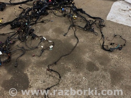 ФОТО Электропроводка для Audi (Ауди) A8 D4 (11.2009-01.2018) Киев