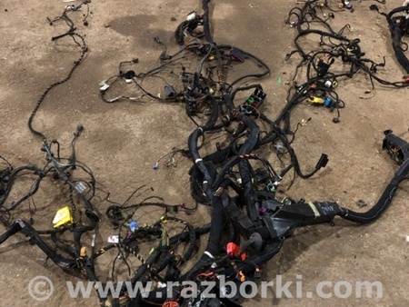 ФОТО Электропроводка для Audi (Ауди) A8 D4 (11.2009-01.2018) Киев