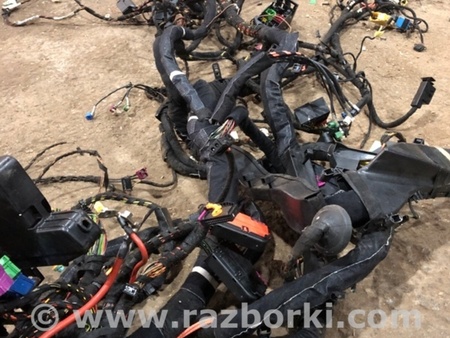 ФОТО Электропроводка для Audi (Ауди) A8 D4 (11.2009-01.2018) Киев