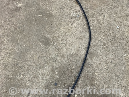 ФОТО Молдинг крыши для Audi (Ауди) A8 D4 (11.2009-01.2018) Киев