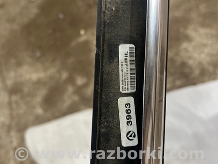 ФОТО Молдинг двери для Audi (Ауди) A8 D4 (11.2009-01.2018) Киев