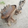 ФОТО Цапфа для Subaru Outback Киев