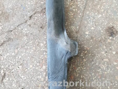 ФОТО Защита для Subaru Outback Киев