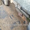 ФОТО Бензобак для Subaru Impreza GD/GG Киев